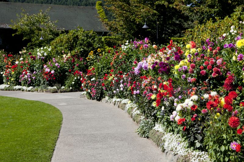 Colored Concrete Installation