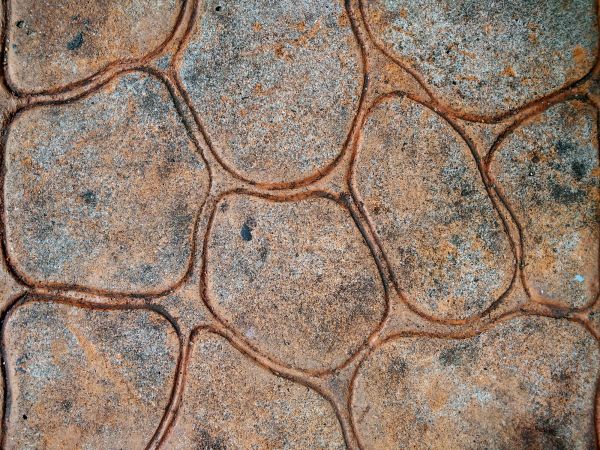 Concrete Stamping in Greenfield