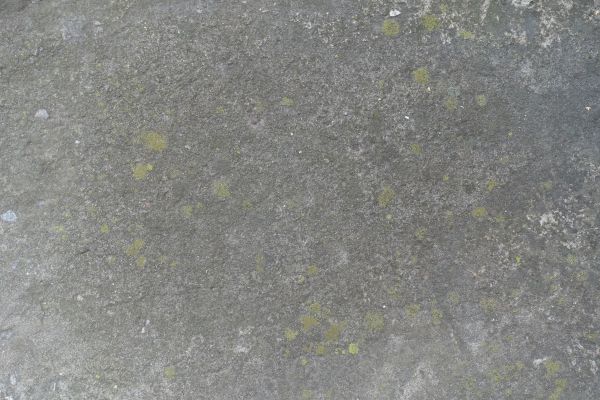 Cost of Slab Staining Service in Greenfield